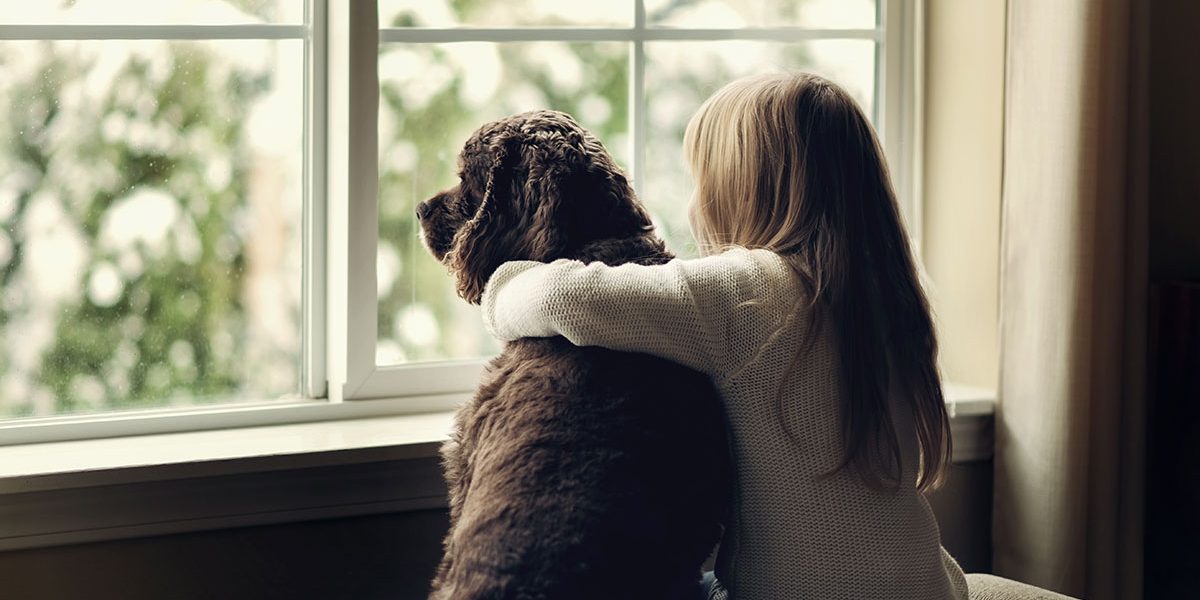 boileau-avocate-blogue-01