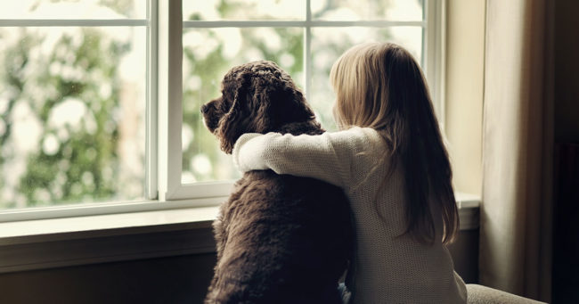 boileau-avocate-blogue-01